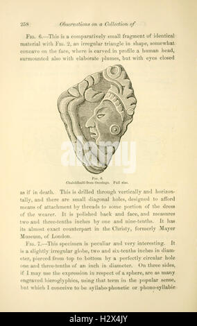 Annales du Lyceum of Natural History of New York (page 258) BHL33 Banque D'Images