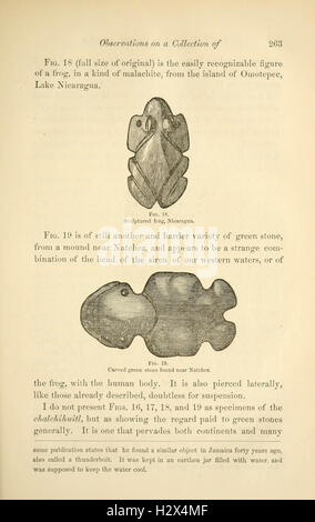 Annales du Lyceum of Natural History of New York (page 263) BHL33 Banque D'Images