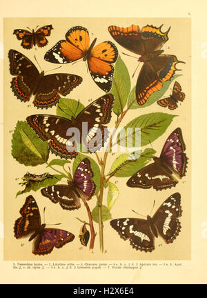 Fr. La berge nach dem Schmetterlingsbuch Lepidopterologie der gegenwärtigen Stande neu bearb. und hrsg. von Professor Dr. H. Rebel (planche 5) BHL94 Banque D'Images