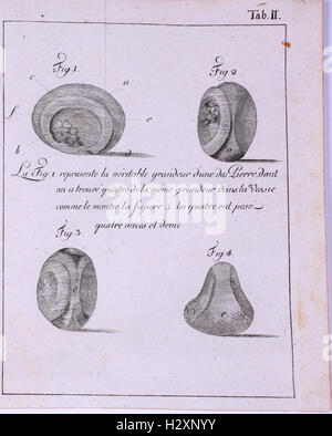 Physico-Mathematico Anatomico-Botanico-Acta Helvetica-Medica BHL104 Banque D'Images