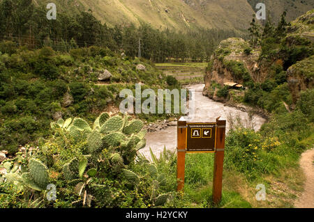 De l'Inca. Train de luxe au Pérou de Cuzco à Machu Picchu. Orient Express. Belmond. Depuis la voie par laquelle le train passe est Banque D'Images