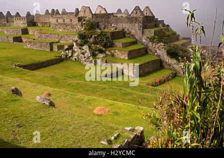 L'intérieur du complexe archéologique de Machu Picchu. Machu Picchu est une ville située dans la cordillère des Andes, au Pérou moderne. Il Banque D'Images