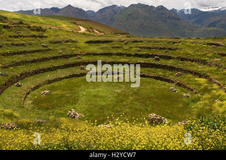 Site archéologique de Moray dans la Vallée Sacrée près de Cuzco. Moray - est le nom de la ruines Incas près de la ville de Maras, par Banque D'Images