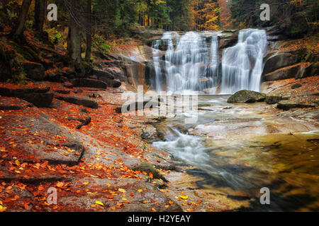 Mumlava (chute d'Mumlavsky Vodopad) près de Harrachov en automne paysage de montagnes de Krkonose, République Tchèque, Europe Banque D'Images