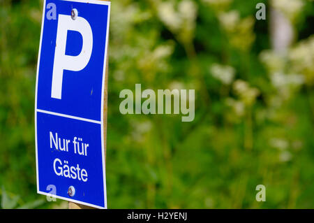 Un parking sign bleue avec un grand P sur fond vert Banque D'Images