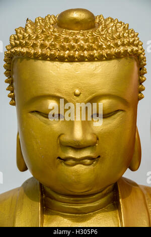 Portrait d'un chef d'or with Budda statue Banque D'Images