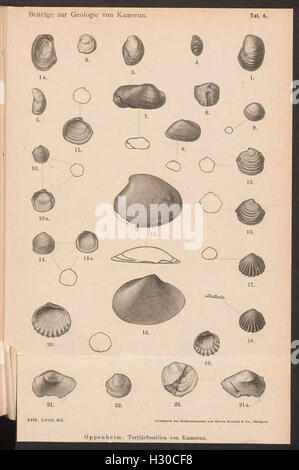 Contributions à la géologie du Cameroun, y compris les caractéristiques géologiques et les données présentées sur la planche 6. Banque D'Images