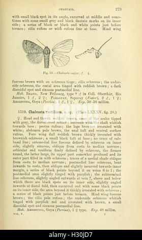 Catalogue des Lepidoptera Phalaenae au British Museum (page 273) BHL184