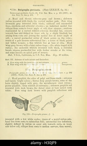 Catalogue des Lepidoptera Phalaenae au British Museum (page 407) BHL184