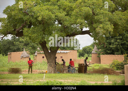 Un grand arbre se dresse sur la périphérie d'un village de Réo, Burkina Faso, Afrique de l'Ouest. Banque D'Images