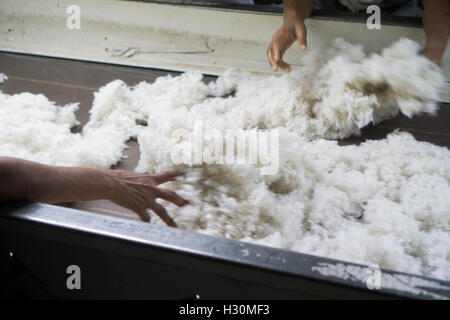 Les travailleurs de l'usine de coton femelle Multan Pakistan Banque D'Images