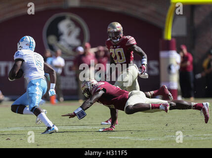 Tampa, Floride, USA. 1 octobre, 2016. MONICA HERNDON | fois.Tar Heels de la Caroline du Nord d'utiliser de nouveau T.J. Logan (8) évite la Florida State Seminoles linebacker Matthew Thomas (6) et arrière défensif Trey Marshall (20) au cours de la Florida State Seminoles match contre les North Carolina Tar Heels le samedi 1 octobre 2016 à Doak Campbell Stadium à Tallahassee, Floride. A la mi-temps, de la Caroline du Nord 21 7 L'État de Floride. © Monica Herndon/Tampa Bay Times/ZUMA/Alamy Fil Live News Banque D'Images