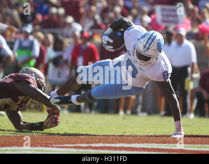 Tampa, Floride, USA. 1 octobre, 2016. MONICA HERNDON | fois.Tar Heels de la Caroline du Nord d'utiliser de nouveau T.J. Logan (8) marque un touchdownduring le deuxième trimestre de l'Florida State Seminoles match contre les North Carolina Tar Heels le samedi 1 octobre 2016 à Doak Campbell Stadium à Tallahassee, Floride. A la mi-temps, de la Caroline du Nord 21 7 L'État de Floride. © Monica Herndon/Tampa Bay Times/ZUMA/Alamy Fil Live News Banque D'Images