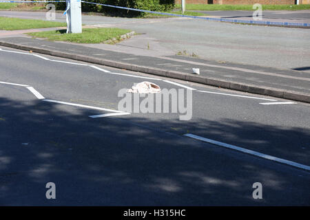 Portsmouth, Hampshire, Royaume-Uni. 3 octobre, 2016. Cycliste transportés à l'hôpital avec de graves blessures à la tête après avoir été frappé par voiture à Waterlooville. Un cycliste a été laissé avec de graves blessures à la tête après une collision avec une voiture à Waterlooville aujourd'hui. Les 17 ans a été transporté à l'hôpital par ambulance aérienne à la suite de la collision sur Crookhorn Lane, vers midi aujourd'hui. Un porte-parole de South Central Ambulance Service a déclaré : "Nous avons été appelés à 12h10 aujourd'hui pour une collision entre une voiture et un cycliste. Credit : uknip/Alamy Live News Banque D'Images