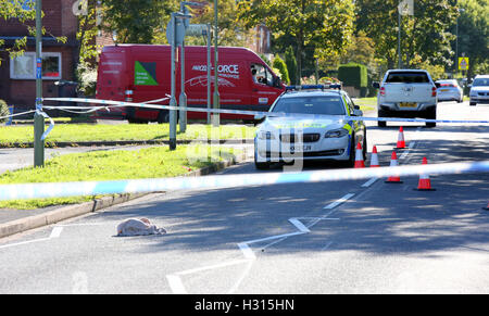 Portsmouth, Hampshire, Royaume-Uni. 3 octobre, 2016. Cycliste transportés à l'hôpital avec de graves blessures à la tête après avoir été frappé par voiture à Waterlooville. Un cycliste a été laissé avec de graves blessures à la tête après une collision avec une voiture à Waterlooville aujourd'hui. Les 17 ans a été transporté à l'hôpital par ambulance aérienne à la suite de la collision sur Crookhorn Lane, vers midi aujourd'hui. Un porte-parole de South Central Ambulance Service a déclaré : "Nous avons été appelés à 12h10 aujourd'hui pour une collision entre une voiture et un cycliste. Credit : uknip/Alamy Live News Banque D'Images