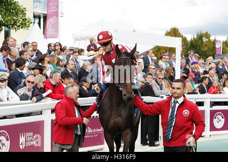 Hippodrome de Chantilly, France. 06Th Oct, 2016. Prix de l'Arc de Triomphe, la race 4 sur carte. Migwar - Olivier Peslier © Plus Sport Action/Alamy Live News Banque D'Images