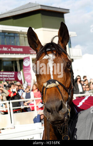 Hippodrome de Chantilly, France. 06Th Oct, 2016. Prix de l'Arc de Triomphe, la race 4 sur carte. Trouvé gagnant de la course © Plus Sport Action/Alamy Live News Banque D'Images