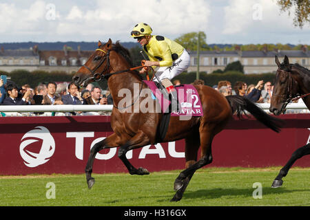 Hippodrome de Chantilly, France. 06Th Oct, 2016. Prix de l'Arc de Triomphe, la race 4 sur carte. Reporté - UN Atzeni © Plus Sport Action/Alamy Live News Banque D'Images