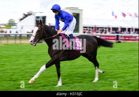 Hippodrome de Chantilly, France. 06Th Oct, 2016. Prix de l'Arc de Triomphe, la race 4 sur carte. - Mickael Barzalona talismanique © Plus Sport Action/Alamy Live News Banque D'Images