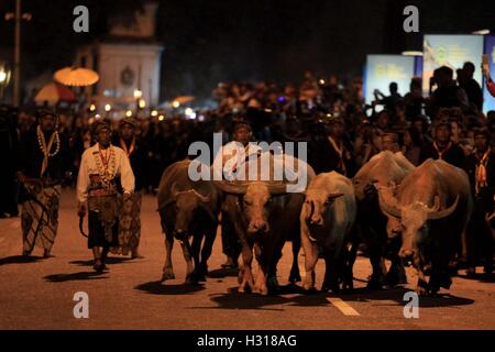 Surakarta, Central Java, Indonésie. 3e oct, 2016. SURAKARTA, CENTRAL JAVA, INDONÉSIE - 03 OCTOBRE : Buffalo heirloom Keraton Surakarta ont défilé dans un cortège de la Suro sur Octobre 03, 2016 à Surakarta, Central Java, Indonésie. Suro carnival pour commémorer le début du nouvel an islamique ou un calendrier javanais suro, à cette procession autant que 7 et 9 buffalo heirloom suivent en procession autour du complexe du palais. © Sijori Images/ZUMA/Alamy Fil Live News Banque D'Images