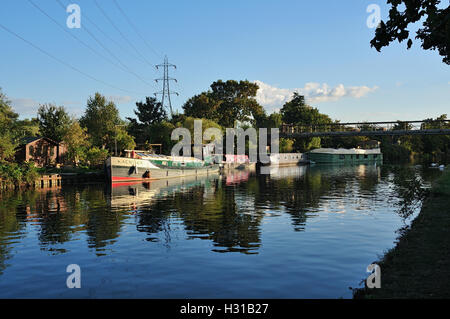 La rivière Lea sur les marais de Tottenham en octobre, dans le nord de Londres, au Royaume-Uni, en regardant vers le sud Banque D'Images