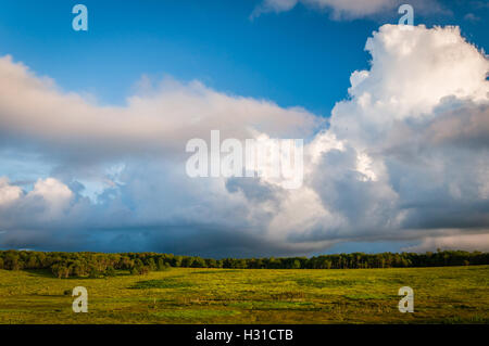 Beaux nuages sur Big Meadows, dans le Parc National Shenandoah, en Virginie. Banque D'Images