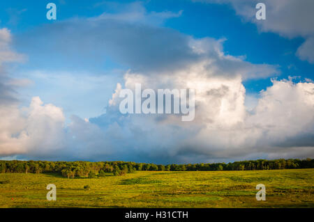 Beaux nuages sur Big Meadows, dans le Parc National Shenandoah, en Virginie. Banque D'Images