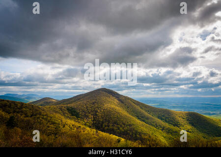 Au début du printemps sur les montagnes Blue Ridge dans le Parc National Shenandoah, en Virginie. Banque D'Images