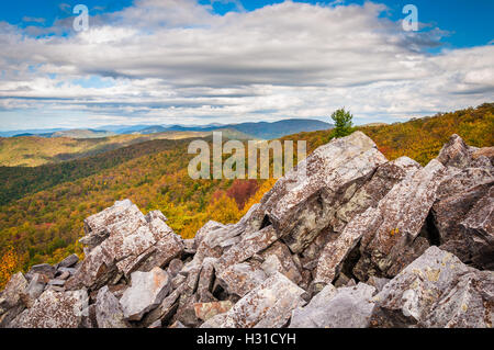 Voir l'automne de la Blue Ridge Mountains de la boulder-sommet couvert de Blackrock, dans le Parc National Shenandoah, en Virginie. Banque D'Images