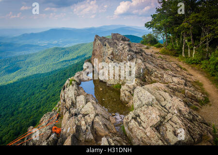 Flaque d'eau et l'escalade les câbles connectés aux rochers sur les falaises Little Stony Man, dans le Parc National Shenandoah, en Virginie Banque D'Images