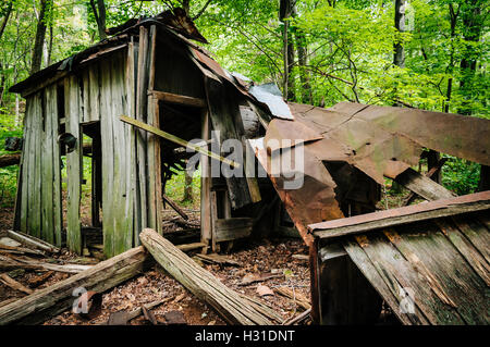 Ruines de la Mission pocosins, dans le Parc National Shenandoah, en Virginie Banque D'Images