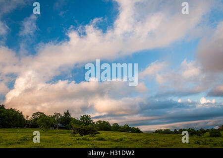 Coucher de soleil sur Big Meadows, dans le Parc National Shenandoah, en Virginie. Banque D'Images