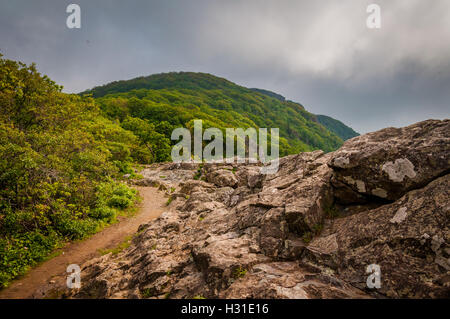 Le sentier des Appalaches sur les falaises Little Stony Man, dans le Parc National Shenandoah, en Virginie. Banque D'Images