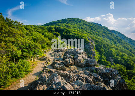 Le sentier des Appalaches sur le sommet de falaises Little Stony Man, dans le Parc National Shenandoah, en Virginie. Banque D'Images