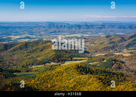 Vue de la couleur de l'automne dans la vallée de Shenandoah, à partir de la Skyline Drive dans le Parc National Shenandoah, en Virginie. Banque D'Images