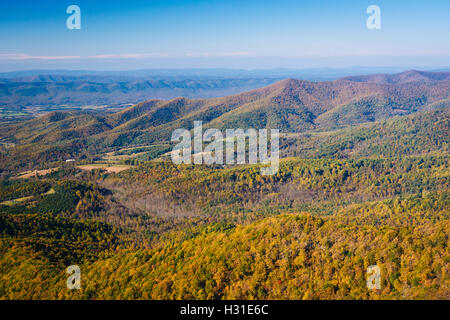 Vue de la couleur de l'automne dans la vallée de Shenandoah, à partir de la Skyline Drive dans le Parc National Shenandoah, en Virginie. Banque D'Images