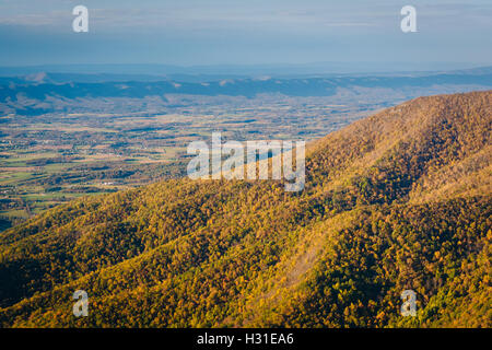 Vue de la couleur de l'automne dans la vallée de Shenandoah, à partir de la Skyline Drive dans le Parc National Shenandoah, en Virginie. Banque D'Images