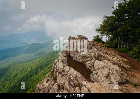 Flaque d'eau sur les falaises et Little Stony Man vue brumeuse du Blue Ridge, dans le Parc National Shenandoah, en Virginie. Banque D'Images