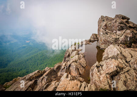 Flaque d'eau sur les falaises et Little Stony Man vue brumeuse du Blue Ridge, dans le Parc National Shenandoah, en Virginie. Banque D'Images