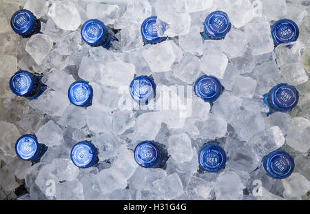 Bouteille de bière top dans des glaçons dans un réfrigérateur portable esky unité réfrigérateur NSW Australie Banque D'Images