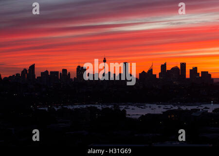 Silhouette de Sydney CBD Central Business District skyline at sunset Sydney NSW Australie Banque D'Images