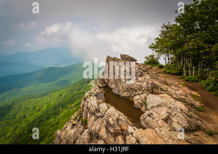 Flaque d'eau sur les falaises et Little Stony Man vue brumeuse du Blue Ridge, dans le Parc National Shenandoah, en Virginie. Banque D'Images