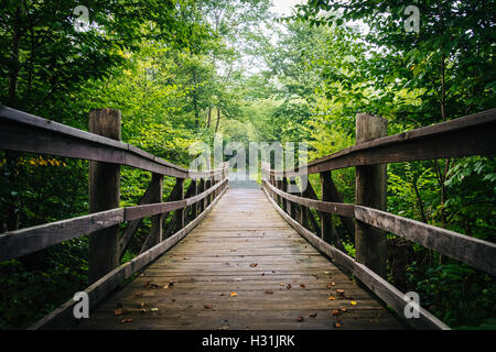 Pont sur la marche en sentier Limberlost Shenandoah National Park, en Virginie. Banque D'Images