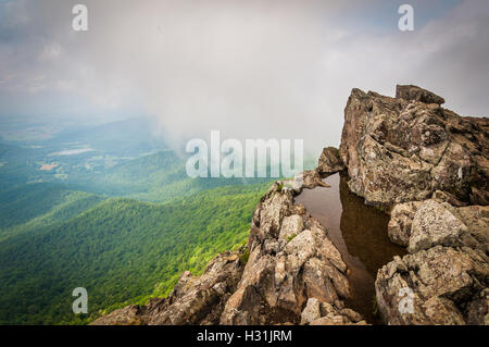 Flaque d'eau sur les falaises et Little Stony Man vue brumeuse du Blue Ridge, dans le Parc National Shenandoah, en Virginie. Banque D'Images