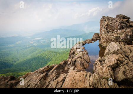 Flaque d'eau sur les falaises et Little Stony Man vue brumeuse du Blue Ridge, dans le Parc National Shenandoah, en Virginie. Banque D'Images