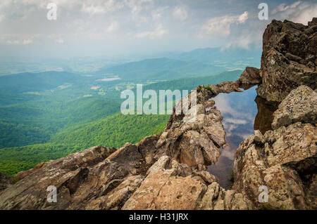 Flaque d'eau sur les falaises et Little Stony Man vue brumeuse du Blue Ridge, dans le Parc National Shenandoah, en Virginie. Banque D'Images