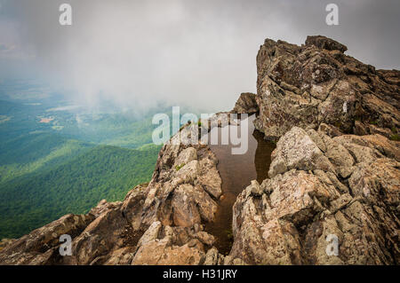 Flaque d'eau sur les falaises et Little Stony Man vue brumeuse du Blue Ridge, dans le Parc National Shenandoah, en Virginie. Banque D'Images