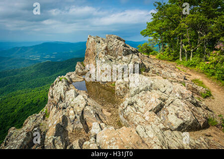 Flaque d'eau sur les falaises de l'homme Little Stony et vue sur les montagnes Blue Ridge dans le Parc National Shenandoah, en Virginie. Banque D'Images