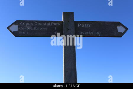 Inscrivez-vous sur Angus chemin côtier près de Inverkeilor Ecosse Octobre 2016 Banque D'Images