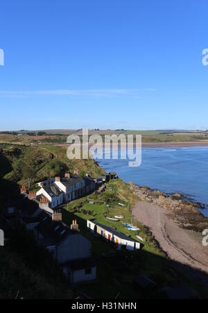 Portrait d'ethie haven lunan bay angus scotland octobre 2016 Banque D'Images